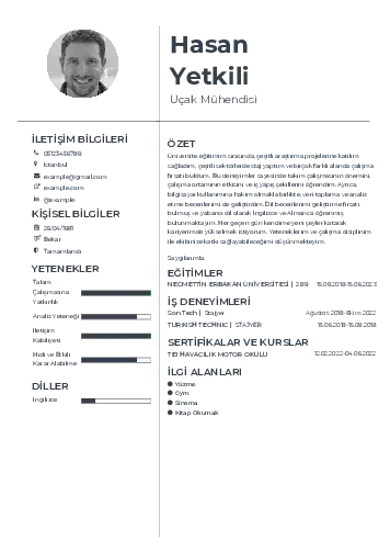Havacılık Ve Uzay Uçak Mühendisi Cv Örnekleri cv indir